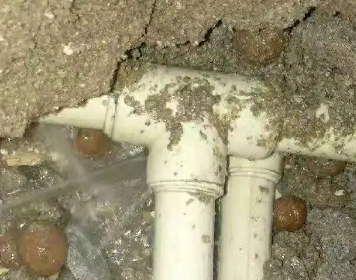 保亭测漏水多少钱