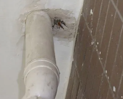 保亭漏水检测哪家好